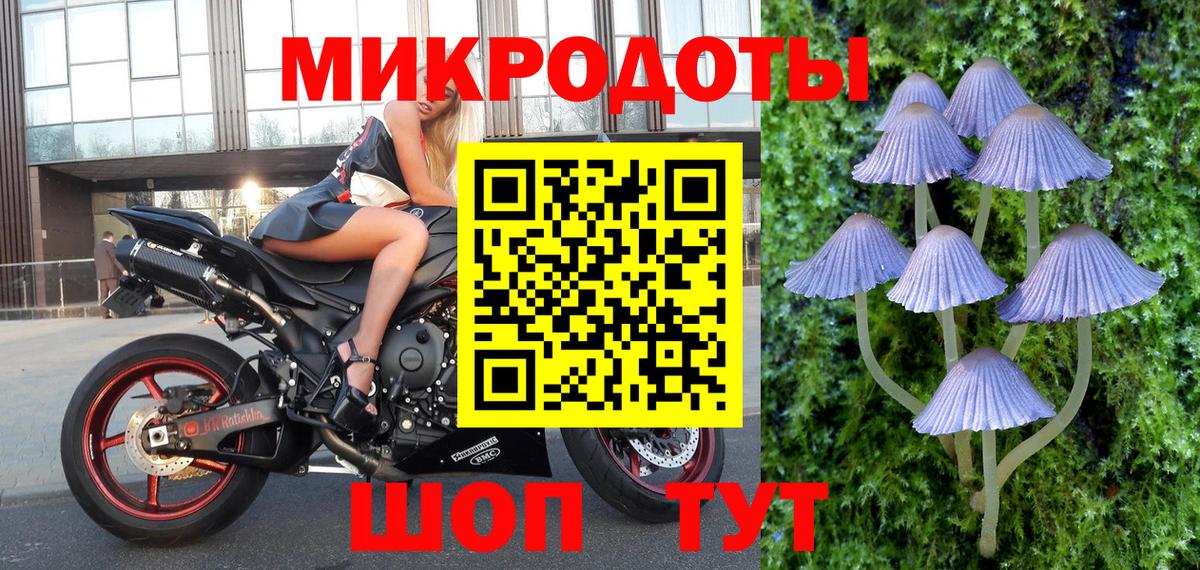 Псилоцибиновые грибы Cubensis  Галлюциногенные грибы прущие грибы  купить наркотик  Вход с VPN  Воронеж 